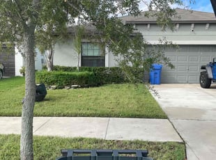 Ray T.'s Bush Trimming service result