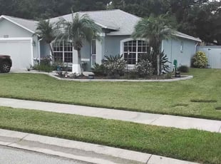 Richard A.'s turf care service result