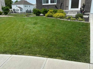 Shomari S.'s lawn care service result
