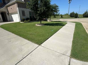 Mark K.'s yard service service result