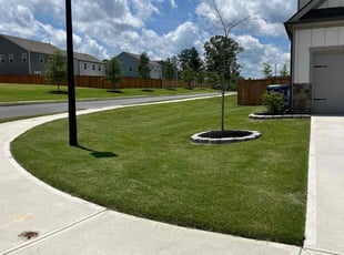 Shanice T.'s Landscaping service result