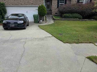 Matthew E.'s turf care service result