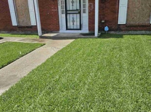 Phillip M.'s grass cutting service result