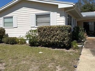 Bailey P.'s Bush Trimming service result