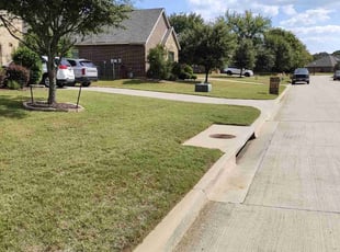 Jesse H.'s lawn care services service result