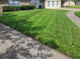 Nick G.'s grass maintenance service result