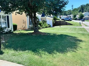 James N.'s lawn care services service result