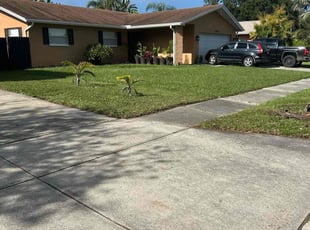Christine R.'s turf maintenance service result