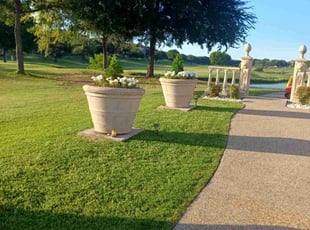 Tyler N.'s grass maintenance service result