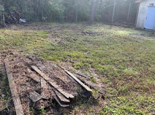 Wayne L.'s turf care service result