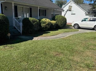 Daby L.'s Bush Trimming service result