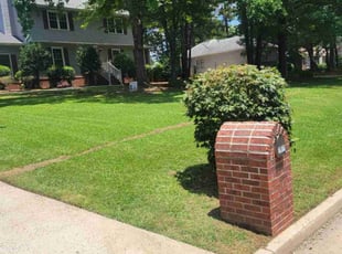 Crystal H.'s lawn maintenance service result