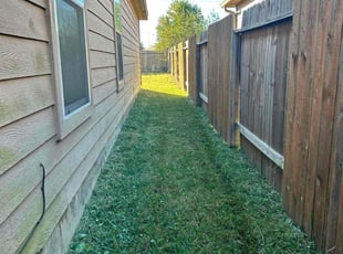 Leticia O.'s lawn care service result