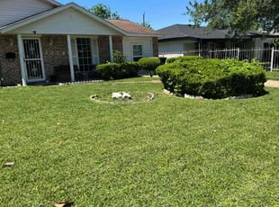 Valerie M.'s grass maintenance service result
