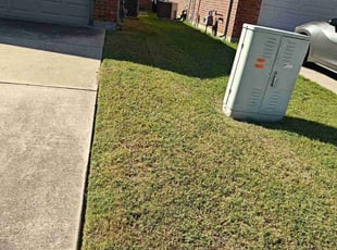 Catherine C.'s grass maintenance service result