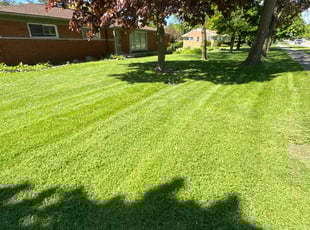 Kenneth W.'s lawn care services service result