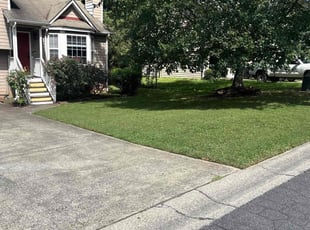 Ken H.'s turf maintenance service result