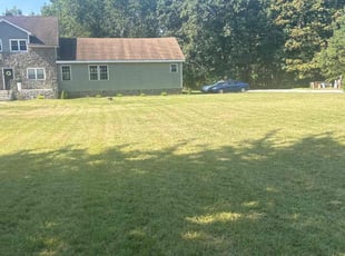 Kristi T.'s lawn care service result