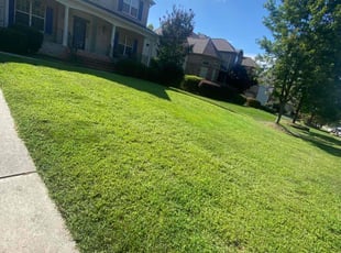 Krish S.'s lawn care service result