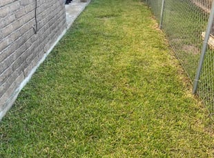 Joanne D.'s grass maintenance service result