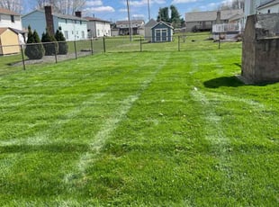 Kerry L.'s lawn service service result