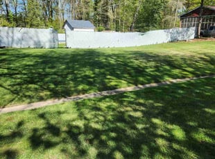 Tamika T.'s lawn care services service result