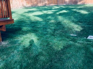 Takashi M.'s lawn care services service result