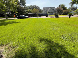 Joshua B.'s turf care service result