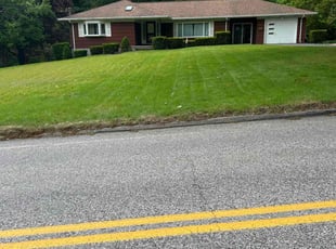 Trevor C.'s turf care service result