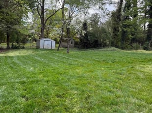 Lea L.'s grass cutting service result