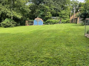 Carly R.'s landscaping service result