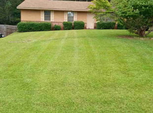 Edna W.'s lawn care service result