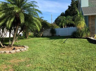 Michael C.'s lawn care service result