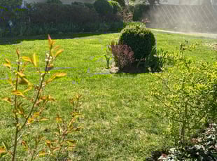 Bryan w.'s lawn care services service result