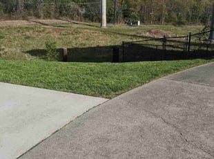 Sabrina S.'s lawn service service result
