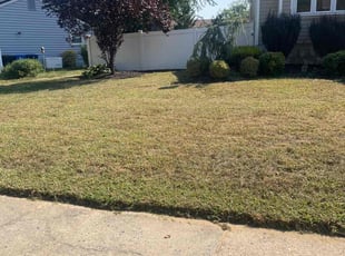 Ana B.'s lawn service service result