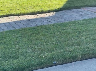 Gerard A.'s lawn service service result