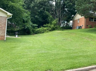 Titus J.'s grass maintenance service result