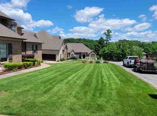 Andrew L.'s turf care service result