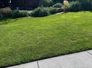 Jeffrey M.'s grass cutting service result