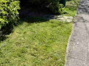 Julie K.'s turf maintenance service result