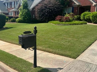 Joshua S.'s grass maintenance service result