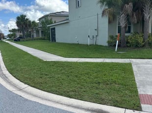 Rita M.'s grass cutting service result