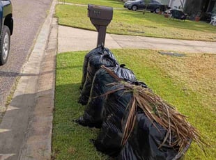 Lindsey P.'s Long Grass Cleanup service result