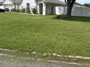 Dan K.'s grass maintenance service result