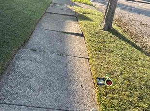 Eric F.'s lawn service service result