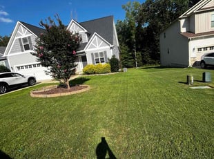 Zed F.'s grass maintenance service result