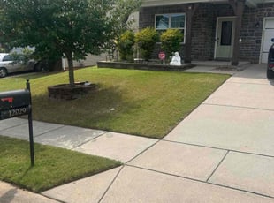William S.'s turf care service result