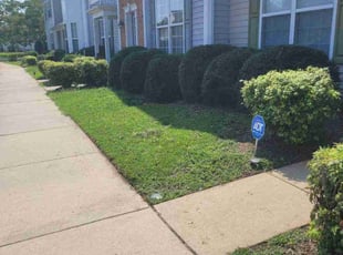 Rodney R.'s turf maintenance service result