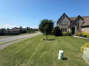 Michael G.'s lawn care service result